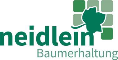 Neidlein Baumerhaltung & Baumüberprüfung GmbH & Co. KG – Grünkompetenz hoch3